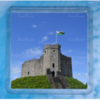 Cardiff Castle Coaster