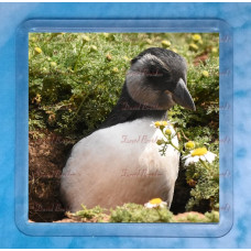 Puffling 2 Coaster
