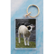Patch Lamb Keyring