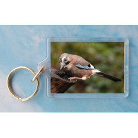 Jay Keyring