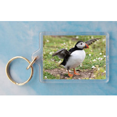 Puffin 4 Keyring