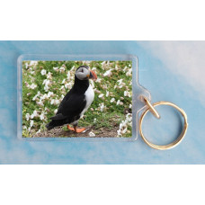 Puffin 8 Keyring