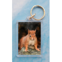 Red Squirrel 9 Keyring